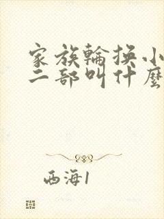 家族轮换小说第二部叫什么名字