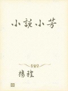 小说小芳