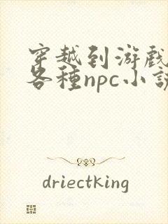 穿越到游戏里和各种npc小说