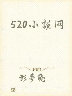 520小说网