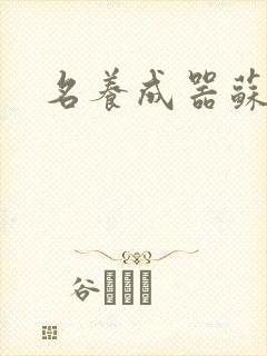 名养成器苏沫沫