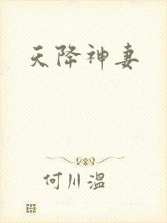 天降神妻