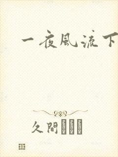 一夜风流下载
