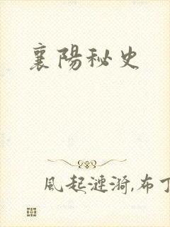 襄阳秘史