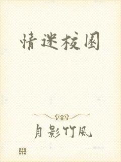 情迷校园封面