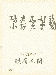 阳光正好苏玥玥小说免费阅读无弹窗