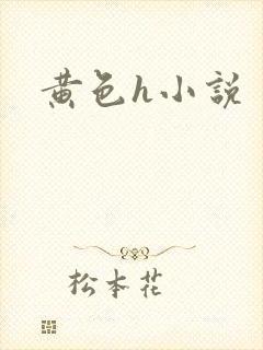黄色h小说