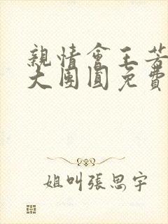 亲情会王芳高敏大团圆免费阅读