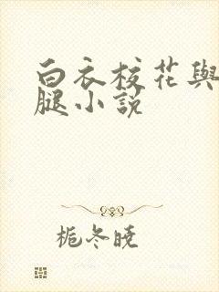 白衣校花与大长腿小说