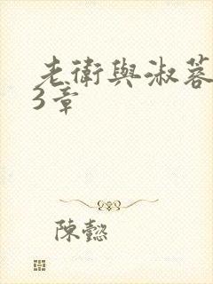 老卫与淑蓉第13章