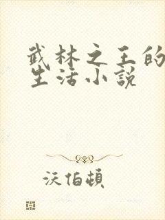 武林之王的退隐生活小说