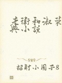 老卫和淑荣的经典小说封面