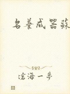 名养成器苏沫沫