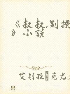 《叔叔,别撩我》小说