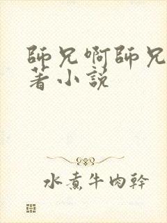 师兄啊师兄的原著小说封面