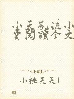 小天风流小说免费阅读全文最新章节