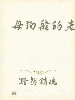 母狗般的老师封面