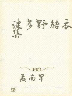 波多野结衣作品集封面