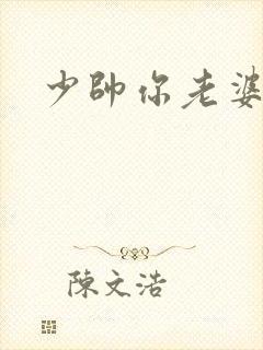 少帅你老婆