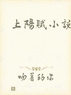 上阳赋小说封面