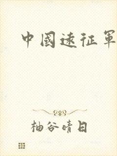 中国远征军小说