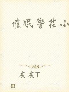 催眠警花小说封面