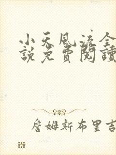 小天风流全集小说免费阅读