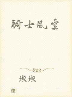 骑士风云封面