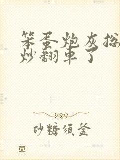 笨蛋炮灰总被爆炒翻车了