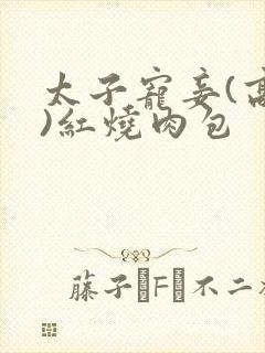 太子宠妾(高肉)红烧肉包