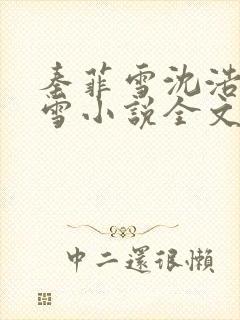 秦菲雪沈浩秦菲雪小说全文免费阅读求书