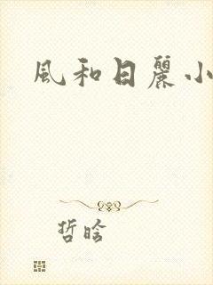 风和日丽小说