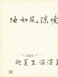 他如风掠境