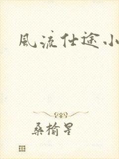 风流仕途小说封面