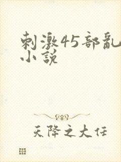 刺激45部乱亲小说封面