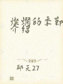 灿烂的季节剧情介绍