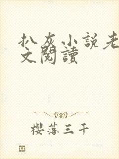 扒灰小说老马全文阅读