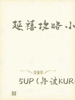 延禧攻略小说封面