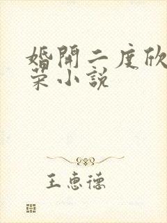 婚开二度欣欣向荣小说