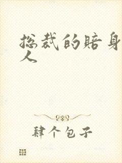 总裁的赔身小情人