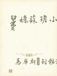 儿媳苏玥小说免费