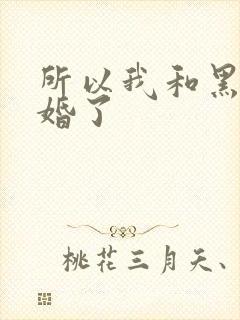 所以我和黑粉结婚了