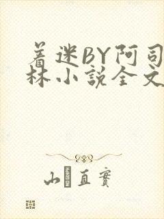 着迷BY阿司匹林小说全文免费阅读