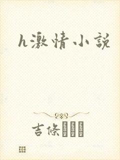 h激情小说