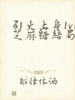 引火上身1v1芝麻糖结局封面