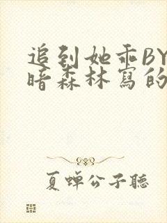 追到她乖BY黑暗森林写的小说