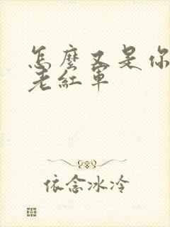 怎么又是你by老红军封面