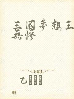 三国梦想王元姬无惨