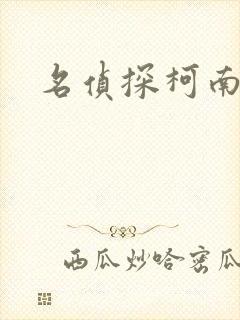 名侦探柯南h封面