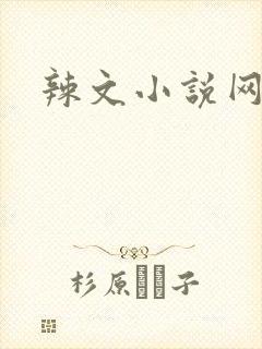 辣文小说网封面